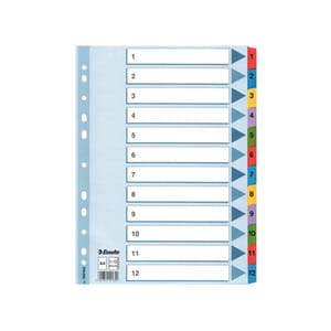 REGISTER A4 MYLAR 1-12 EXACOMPTA 1112E