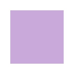 FOTOKARTONG FOLIA 50X70 300G SYRINLILLA