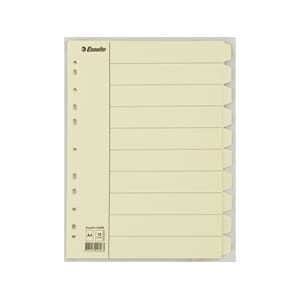 SKILLEBLAD ESSELTE A4 10-DELT MANILLA