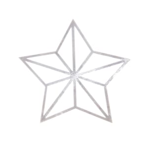 ETIKETT STJERNE TRANSPARENT / SØLV(50)